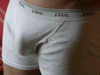 dick in boxers