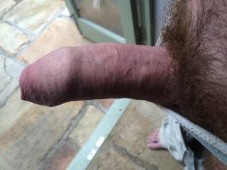 wifes panties
