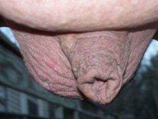 Just my shaved cock and balls.