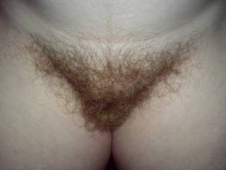 Some of you guys have asked for a pic of my pussy really hairy,so i let it grow for ages and took this hope it`s ok.(i shaved the next day)