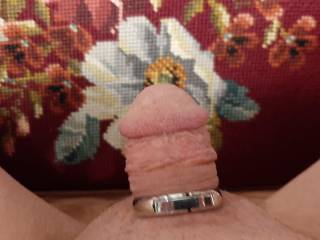 Got a new cock ring.  What do you think!