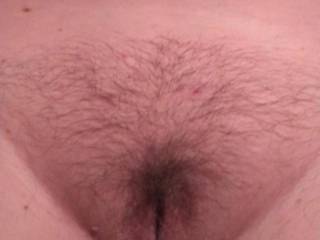 Wife hairy pussy just before I gave her a haircut.