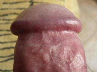nice close up big french cock