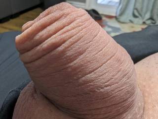 My small shaved cock closeup