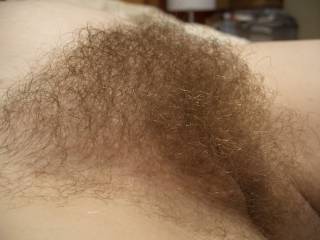 pregnant wife\'s full hairy pussy. just love burying my face in her mound and breathing in her sweet scent