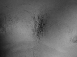just my hairy chest (no I don\'t have a hairy back!)