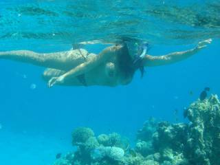 Wish I was there. It would be totally nude snorkeling. I just hope I can keep my nose above water. While I suck on that sweet little pussy.