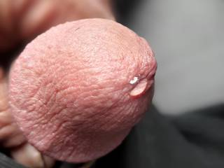 My fick head with a drop of pre-cum.