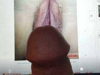 Dick on beautiful pussy tribute