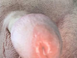Working from home, cock hard, precum dripping, what can i say?