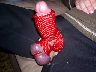 luv my cock & balls tied good!