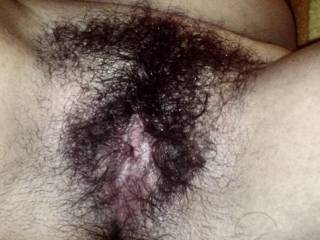 wow, my favorite pussy ! love your bush. i would love to lick and fuck your wet and hairy cunt. love to cum on hairy cunt !