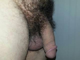 My soft, hairy cock! Is there to much hair?