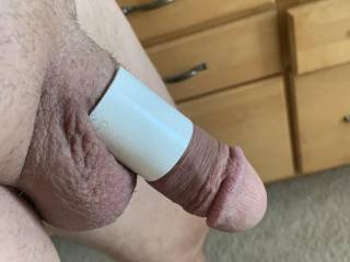 my penis squeezed in a 3/4 inch pvc connector