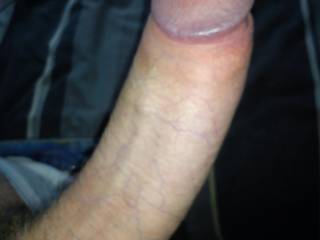 my hard cock ready for any willing pussy
