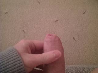 Semi-hard cock, lots of foreskin. Like it?
