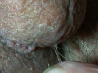 I love to try and get precum without any arousal. This is my best close up precum play... to date!