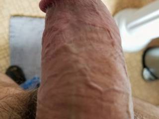 My thick cut cock