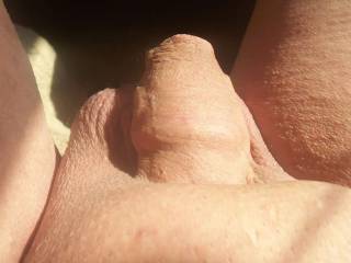 Early morning light. Whaat would you do to make my dick grow?
