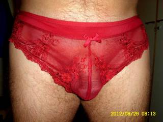 I try on wifes panties,hope you like?