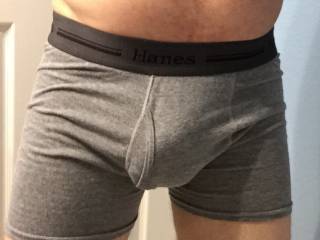 Hard cock in boxers