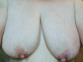 Her wonderful tits and nipples!