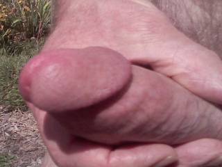 Some alone time in the garden. Here's a closeup of the business end of my erect cock. Would you enjoy getting naked and masturbating with me outdoors some time?