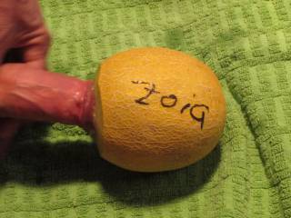 Dick in a ZOI dedicated melon