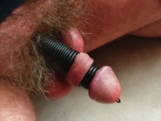Cock with rubber rings on shaft, foreskin rolled back and rubber rings behind glans