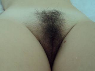Here is a nice close up of her hairy pussy. I love it hairy, gives me a chance to floss my teeth every now and then. Do you like the look of her cunt? Tell us what you think.