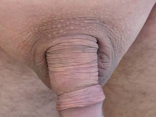 My small shaved cock