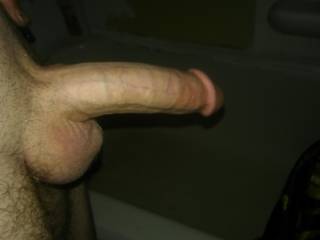Just my cock ready for some sweet pussy that want to come get it :)