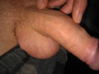 Fat cock before I have a wank over a certain zoig member.