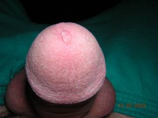 pre-cum on the head of my dick