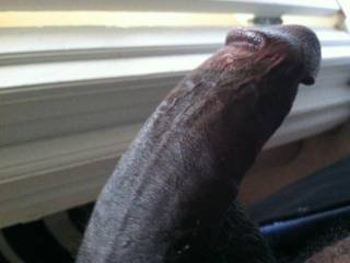what would you do with this toy hanging around?