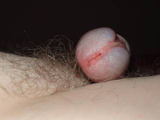 Flaccid and exposed resting on my pubic hair.