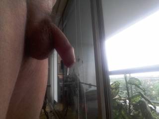 After a good session on Zoig, I get so horny my cock drips with precum. Would love to share it and feel a hot mouth close around it.