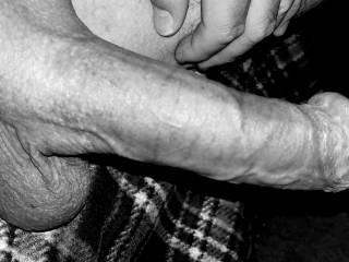 Black and white cock