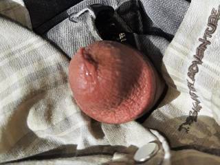 My dick head with pre-cum