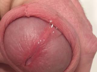 Precum from looking at her hairy cunt pics.