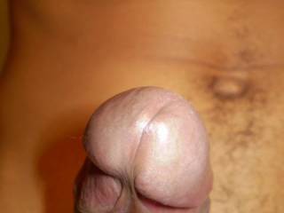 Another pic of my wonderful cock... looking for a pussy to slide it into.