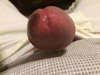 Soaked with pre cum