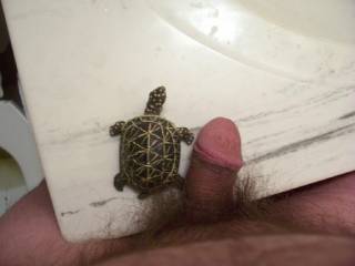 i wouldn't mind you sticking your horny turtle up my ass and hav you shoot a big load up there