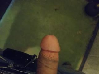 I need my dick sucked asap