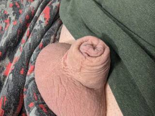 My cock in the morning