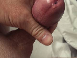 Stroking it while texting my wife.