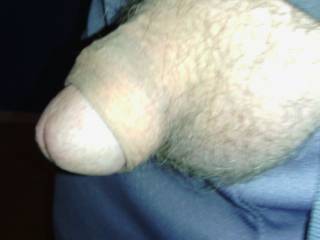 If we could meet , would you care to see if my wife could hide your penis in her mouth while I watch ?  Would be hot if at a hotel ...