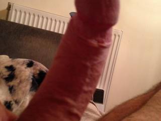 big cock