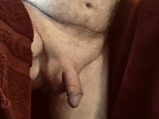 Fresh out of the shower, cock still swollen from masturbating.