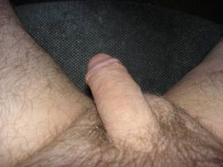 My cock before my masturbation session